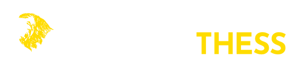 Morethess Business Consulting Company